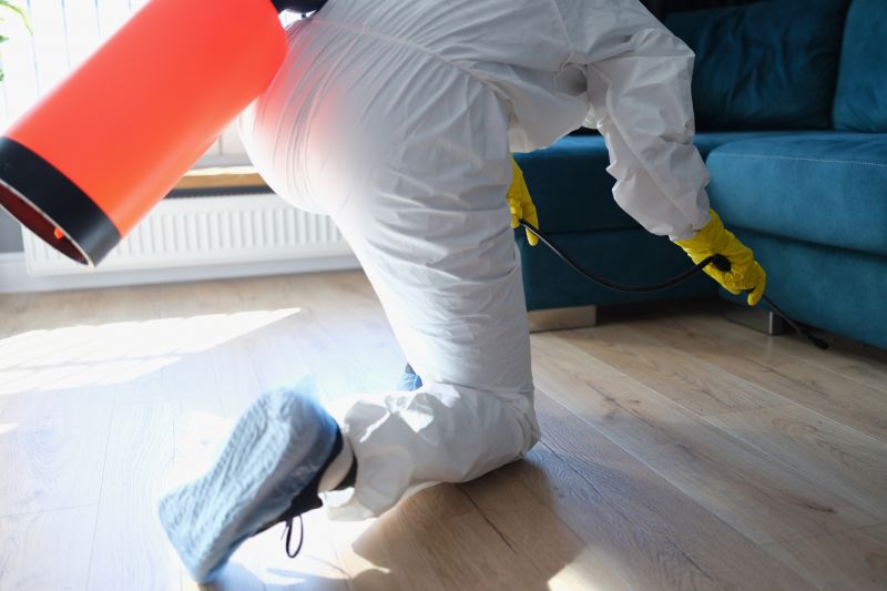 Spider Fumigation Service in Asheville, NC