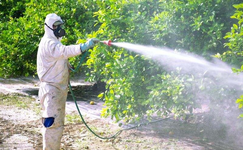Pest Fumigation Service in Wilmington, NC